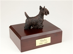 Scottish Terrier, Bronze