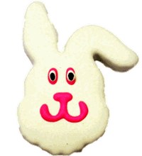 Floppy Bunny Dog Treats Cookies Bones