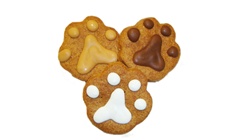 Paw Print Dog Cookies