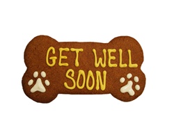 Get Well Soon - XL