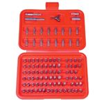 PROF SCREWDRIVER BIT SET 100 PC.