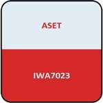 Iwata - IWA7023 MFG Part # 7023