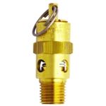 Milton Industries MILS1090-200 - ASME Safety Valve