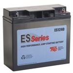 ES Series Replacement Battery for ES6000/ES8000/ES1224 (2 Batteries)