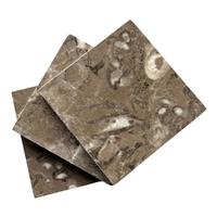 Fossil Brown 4x4 Polished Marble Floor Wall Tile Kitchen - Drink Coaster