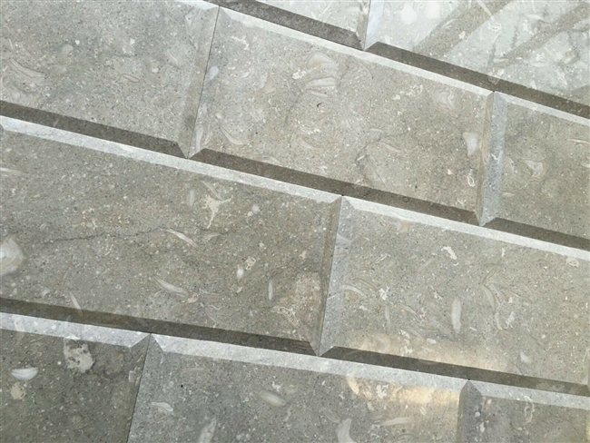 6x12 Seagrass Limestone Polished and Beveled Backsplash Wall Tile