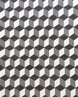 8x8 Hexagonal 3 Dimensional Encaustic Cement Tile