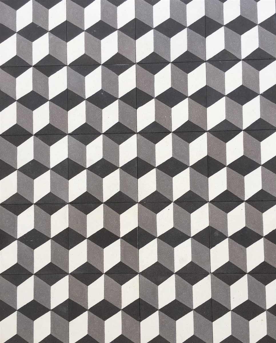 8x8 Hexagonal 3 Dimensional Encaustic Cement Tile