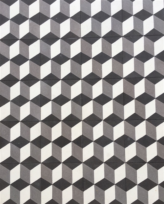 8x8 Hexagonal 3 Dimensional Encaustic Cement Tile