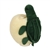 Piggy Bank Green Turtle
