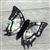 8" Finger Butterfly (Swallowtail)