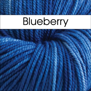 Squishy Blueberry