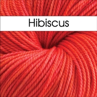 Squishy Hibiscus