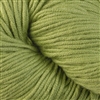 Modern Cotton 1659 Elms