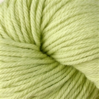 Vintage Chunky 6124 Kiwi