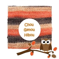 Bis Sock Chou Genou Hibou