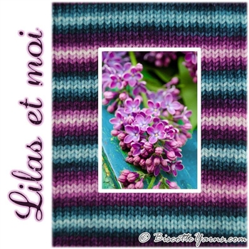 Bis Sock Lilas et Moi