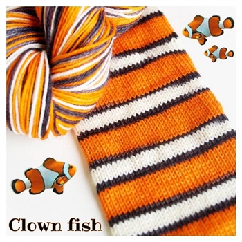 Bis Sock Clown Fish (Poisson Clown)