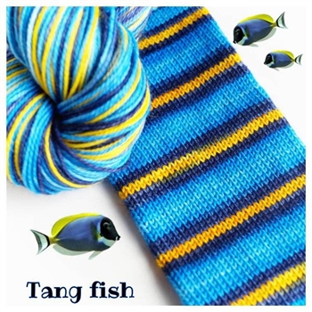 Bis Sock Tang Fish (Poisson Tang)