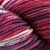 220 Superwash Hand Paints 1011 Berry Smoke