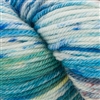 220 Superwash Hand Paints 1017 Marina