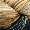 220 Superwash Hand Paints 1024Tortoiseshell