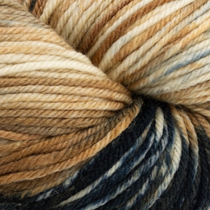 220 Superwash Hand Paints 1024Tortoiseshell