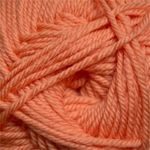 220 Superwash Merino 007 Bird of Paradise
