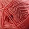 220 Superwash Merino 101 Desert Flower