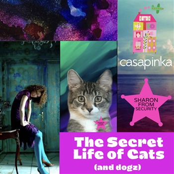 Casapinka Advent: The Secret Life of Cats (and dogz) Kits