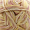 Pandamonium Multi 402 Citrus