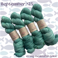 Beautifully Basic '23 September (Crazy Beautiful Club Color)