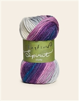 Spirit Chunky 407 Mystery