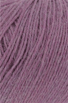 Alpaca Soxx 65