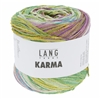Karma 05  (Final Sale)