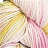 Tosh DK Texas Tulips