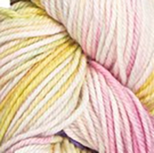 Tosh DK Texas Tulips