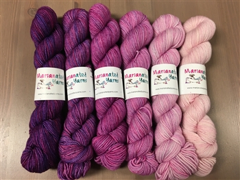 Scrumptious HT 1/2 Skein Gradients Princess Quail (Final Sale)