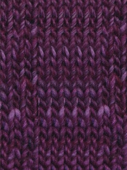 Silk Garden Sock Solo 08 Plum (Final Sale)