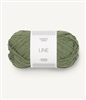 Line 9062 Olive