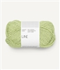 Line 9523 Lime Punch