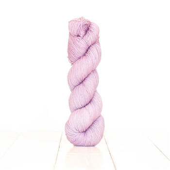 Harvest Fingering Blueberry (Final Sale)