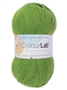 ColourLab DK 1134 Shamrock Green
