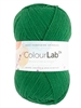ColourLab DK 363 Bottle Green