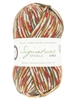 Signature 4ply Sparkle 1208 Yuletide