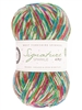 Signature 4ply Sparkle 905 Fairy Lights