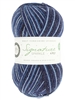 Signature 4ply Sparkle 906 Silent Night