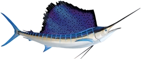 atlantic sailfish mount