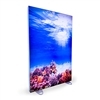 Flow-MotionÂ® Animated Free Standing Display 60"x90"