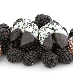 Chocolate Covered Fortune Cookies in the Black Raspberry Flavor